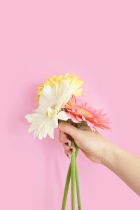 A hand holds three long-stemmed flowers: one white, one yellow, and one pink.